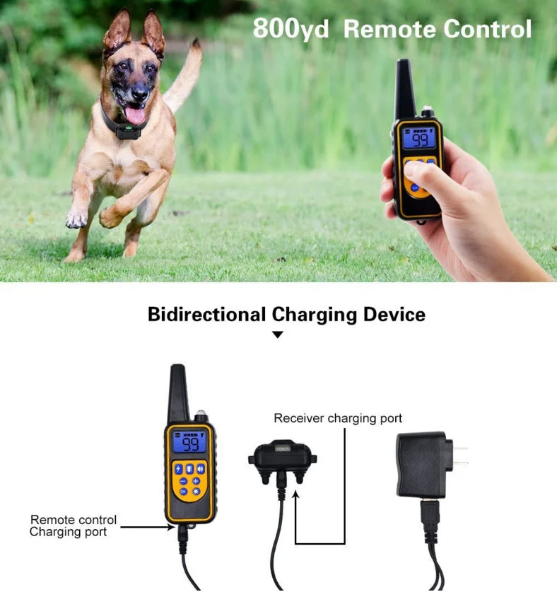 Wasserdichtes Hunde-Trainingshalsband mit Fernbedienung