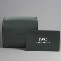 IWC Pilot’s timezone limited edition watch