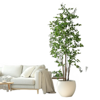 3123c56b-d0a2-46a4-b7c7-e2b0e4b577c5