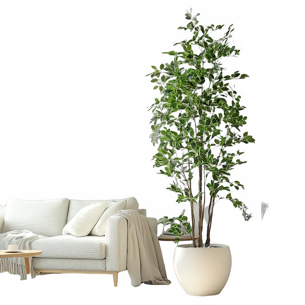 3123c56b-d0a2-46a4-b7c7-e2b0e4b577c5