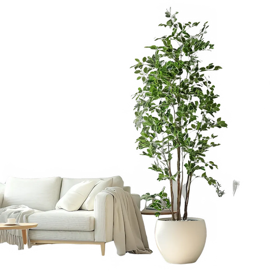 3123c56b-d0a2-46a4-b7c7-e2b0e4b577c5