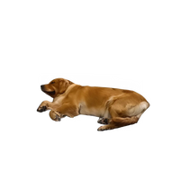 38c69112-9da2-4651-9f9a-a173c583dbd6