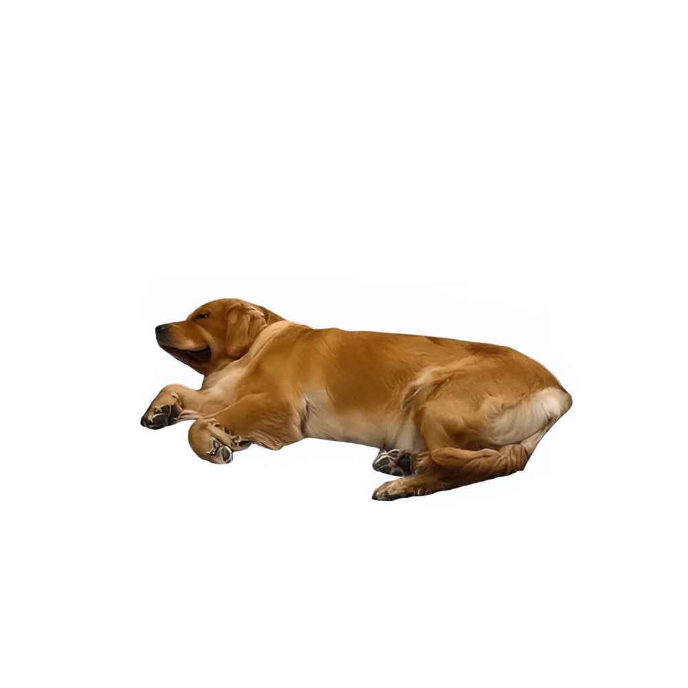 38c69112-9da2-4651-9f9a-a173c583dbd6