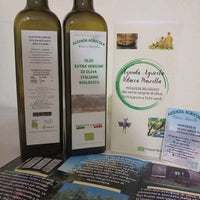 Bio Olivenöl Extra Vergine di Ritacca – aus eigenem Anbau in Kalabrien