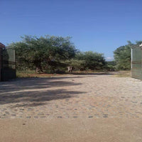 Bio Olivenöl Extra Vergine di Palombari im Kanister