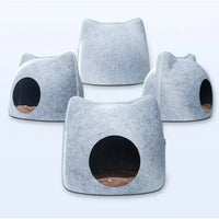 S1a9cf6b6821745cc9b3d5988d841cc2bn