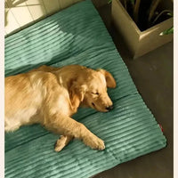 Cord Hundekörbchen XXL 115x80cm Waschbar - Luxus Dog Bed für Große Hunde mit Abnehmbarem Bezug