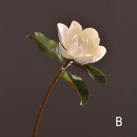 S1d2ba4302c4b41feb20f7071661a1d0aW