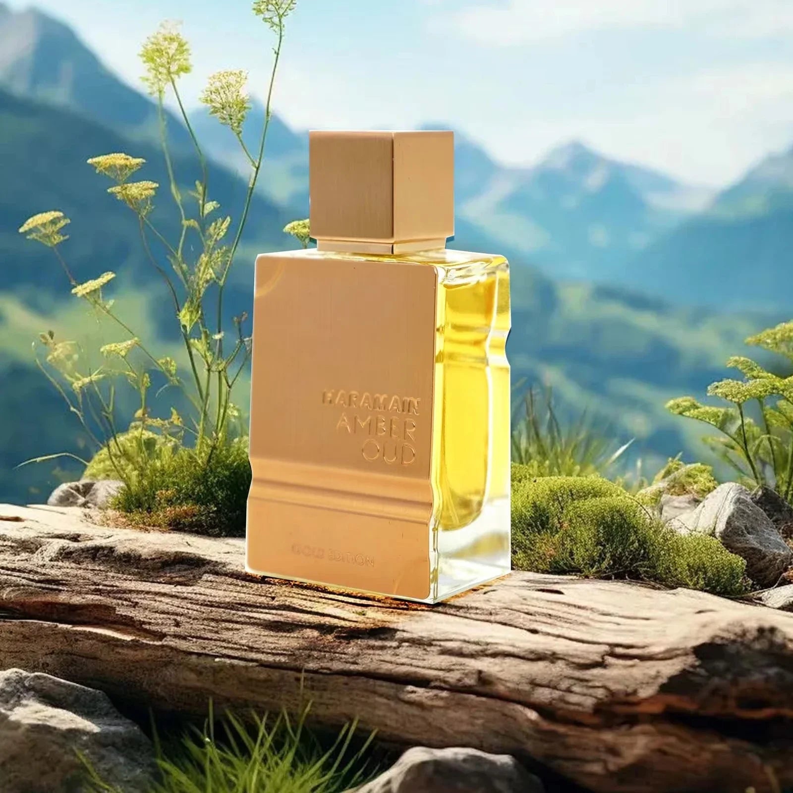 S306a1d909ccd42419640f8434c4308d8k