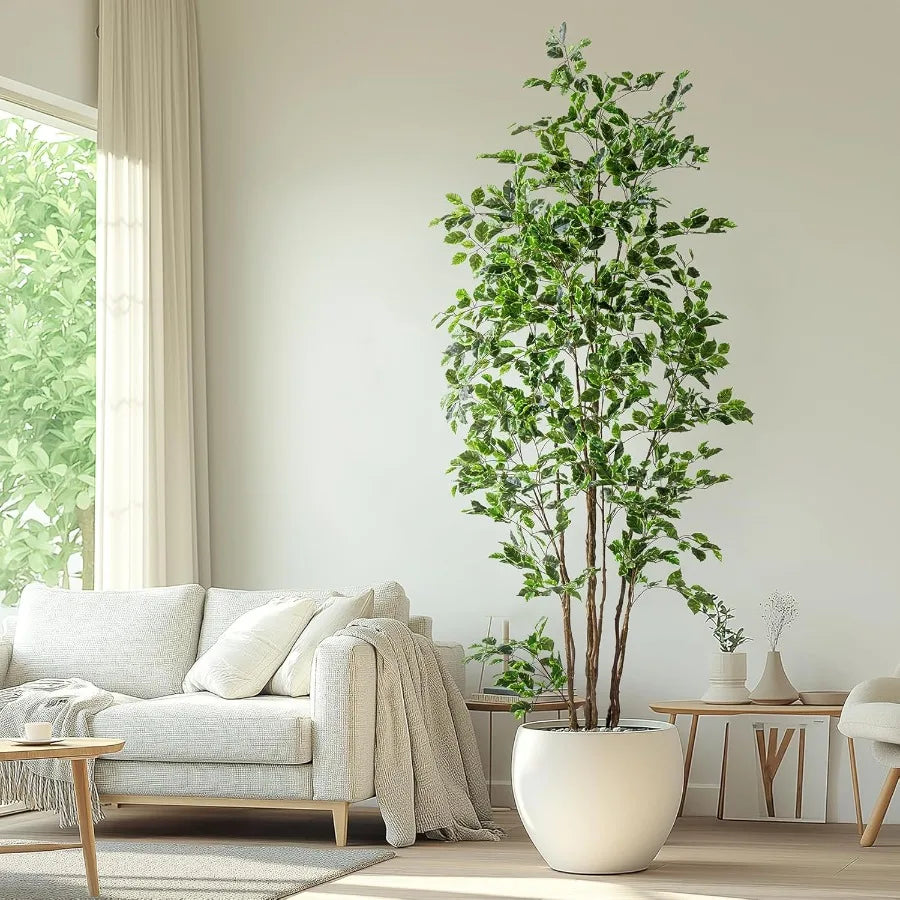 S393da60d4d754061950cb10579329a99o