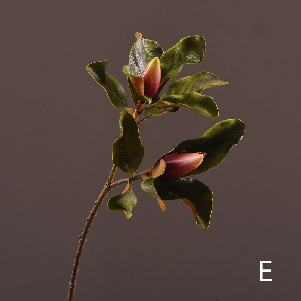 S7500dc5e9fb44f2eb0d06cab00abe859w