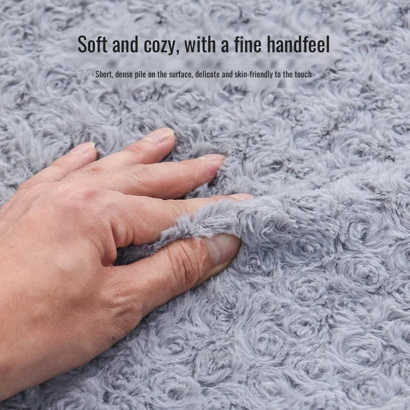 Sd0b528f7b1b1458796a9823605f47f54A