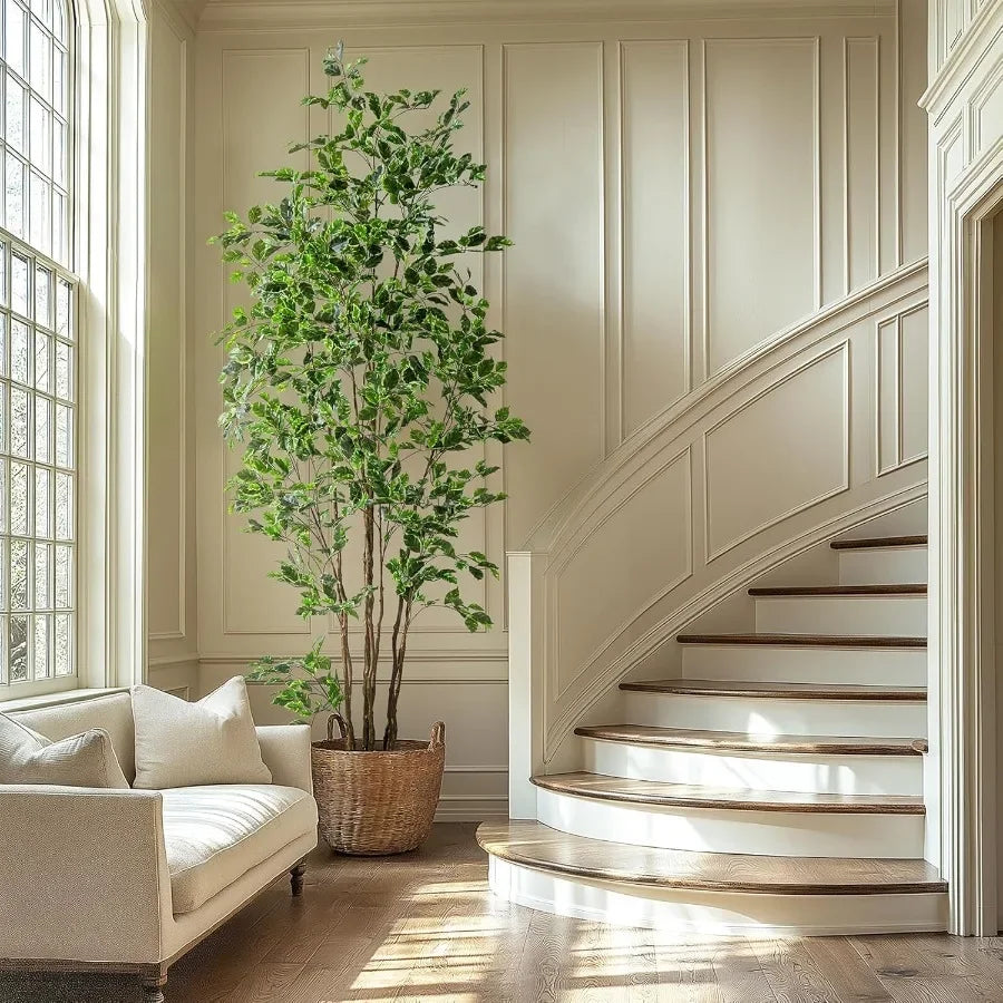 Sf55ab33fb25b41c2894573a51cf390d5A