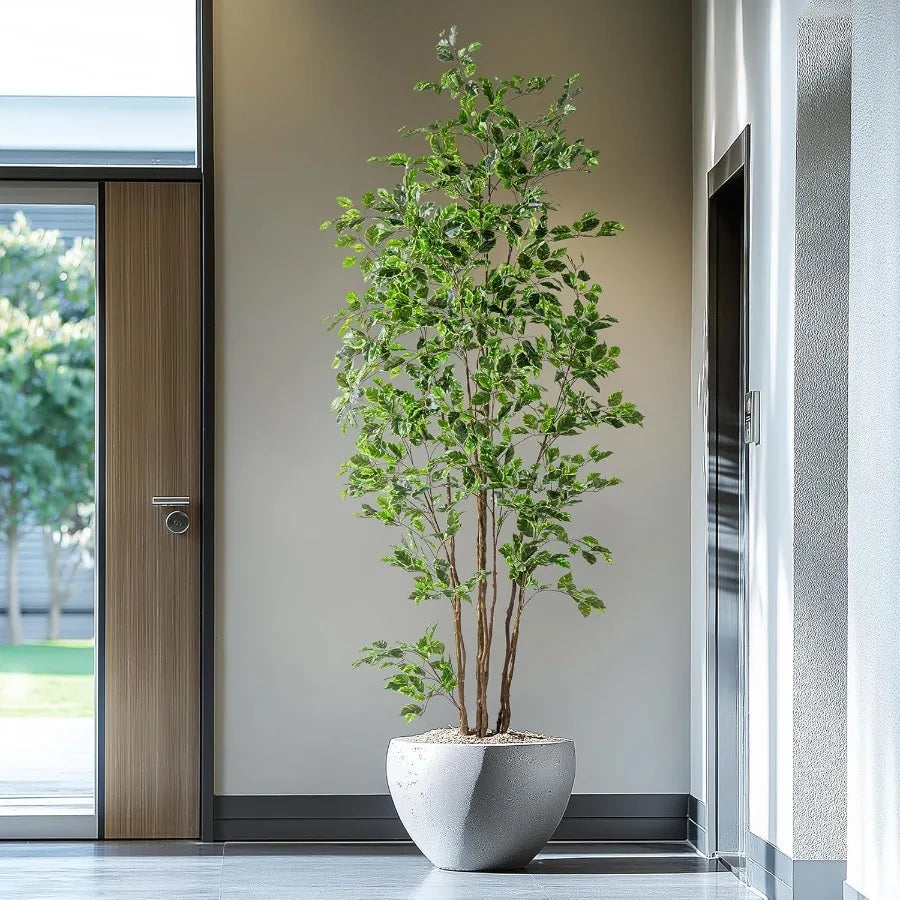 Sf5c73abd8fc642c587456e8305162e6cN