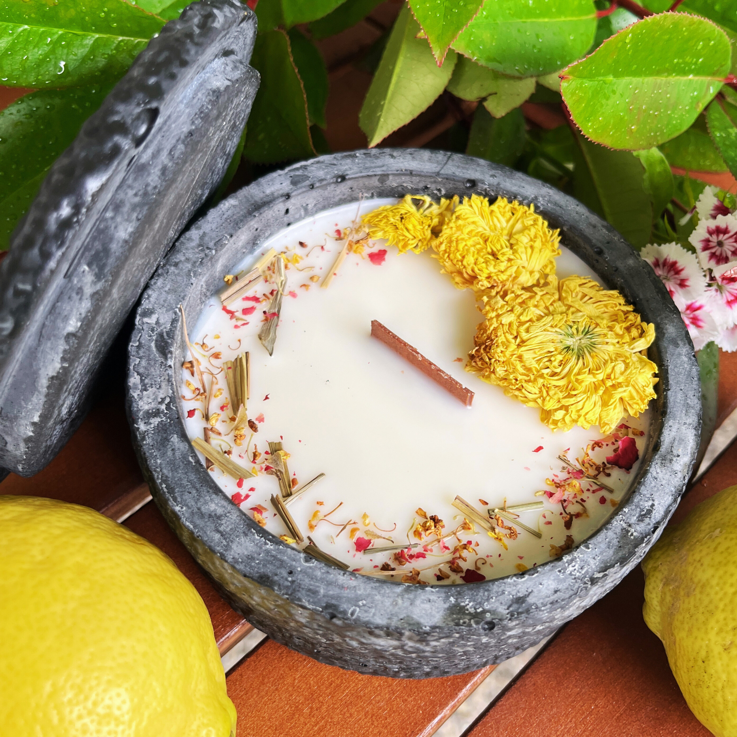 Black Edition HANDGEMACHTE Citronella BETONKERZE - Stilvolle Sojawachskerze für Ihr Zuhause. Outdoor Kerze mit Blütenverzierung und HOCHWERTIGEM Holzdocht aus dem Südschwarzwald